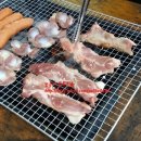 캣츠펜션 이미지