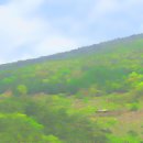 산골풍경 티스토리