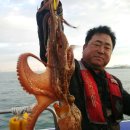 나라3호 이미지