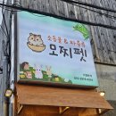 창원 중동 유니시티,도계동 소동물 파충류[모찌펫] 내돈내산 후기