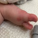 장판집 | 아기 키우는 집 LX 장판 5t 시공후기 베인샌드스톤의 치명적 단점과 장점