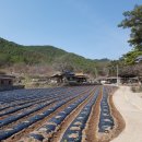 유서1리마을회관 이미지