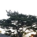 꽃잔디미용실