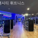 디엠하나로