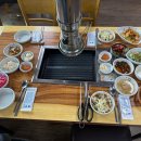 청와오리 이미지