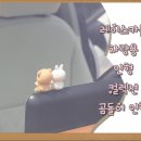 토순이몰 이미지
