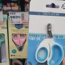 야옹아멍멍해봐삼각점 | [야옹아 멍멍해봐 삼각점] 집앞에 펫샵이 오픈해서 구경다녀왔지요🐶🐱