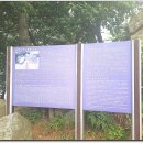 영도초교 이미지