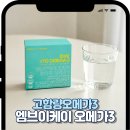 엠브이 | 알티지 오메가3 고함량 오메가3 추천 후기 엠브이케이 초임계 오메가3