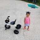 세발자전거(주)