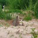 보미저수지 이미지