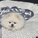 진해구 ⓒ-37 이미지