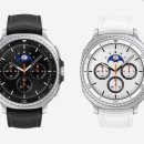 서리풀 명가 | 역대급 폭염 속 오아시스, &#39;도심 속 물놀이장&#39; 전격 분석