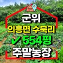 이용훈농장 네이버블로그