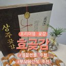 상주곶감 | [명절선물 프리미엄 곶감] 상주곶감 효곶감 솔직후기 부모님 간식 추천 반건시