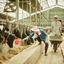 한우인공수정소 이미지