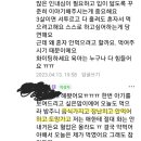 어린이집 교사 녹취 & 고발 한 엄마가 쓴 글 요약 이미지