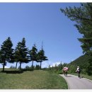 용평 버치힐골프클럽 이미지