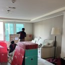더 프로크린 | 제주에서 동탄으로 이사 / 영구이사 197호점 / 영구크린이사 내돈내산 후기