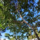 배산공원 화장실 이미지