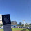 인생먹거리 이미지