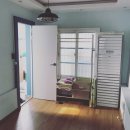 스테이전주 이미지