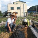우두농장 이미지