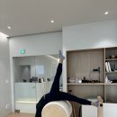 시즈필라테스