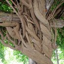 문평119안전센터 이미지