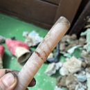 부산누수탐지(이오스타) | 부산 초읍동 누수탐지 오수관 하자 찾은 후기