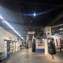 하나복싱클럽 이미지