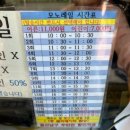 울산 장생포 고래문화마을 수국 페스티벌 모노레일 웨일즈카트 방문 후기