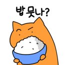저단24 이미지