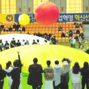 오방궤도 이미지