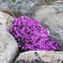 스톤밸리캠핑장 이미지