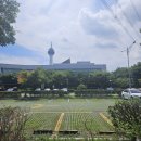 양산타워 | 양산타워 방문 후기 (전망대와 전망 좋은 카페)