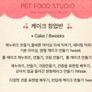 칸타삐야 이미지