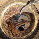 용동식당 이미지