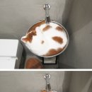 캣푸치노 이미지