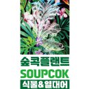 숲콕플랜트