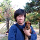 애견전람회 이미지