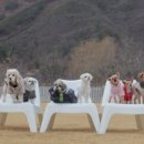 스테이 기북 이미지