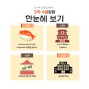뚜벅이 일본 오사카 3박 4일 여행코스 및 경비