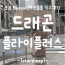 드래곤플라이플러스 직구후기, 도쿄 blossom39에서 예약 없이 데려온 유모차
