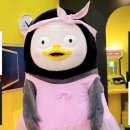 배양리오리집 이미지