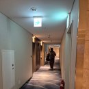 경포호 | 강릉 겨울 태교여행 / 강릉 스카이베이호텔 경포호 전망 내돈내산 후기