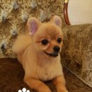 덕구살롱 이미지