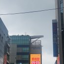 제일수산해산물 | 부산 맛집 자갈치 시장 횟집 영도수산, 해산물 11종 내돈내산 솔직 후기 🐟