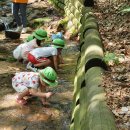 유아숲체험원(1) 이미지