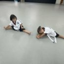 용인대석사명품태권도 이미지